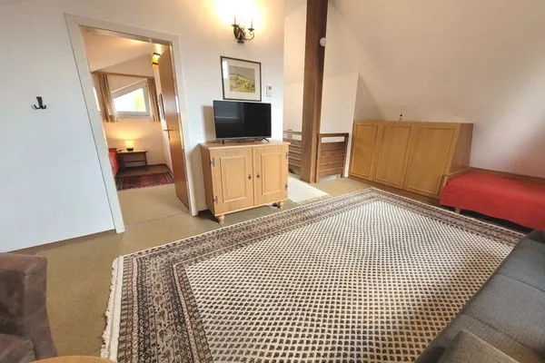 TV / multimedia  Haus Erika by FiS - Fun in Styria