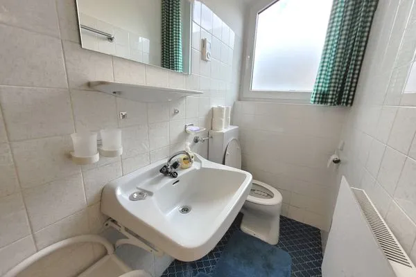 Guest WC  Haus Erika by FiS - Fun in Styria