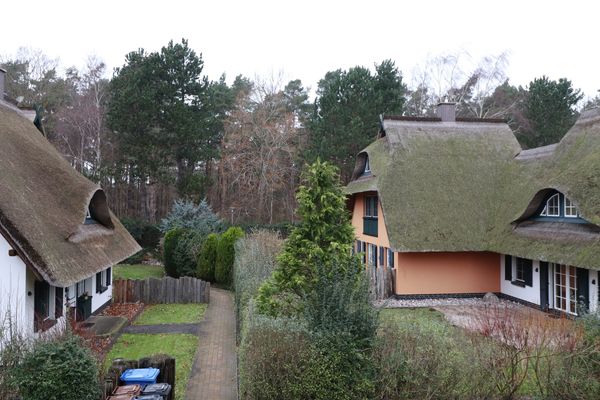 FERIENHÄUSER Küstenwaldvilla Ostseebad Dierhagen - Nachbarschaft