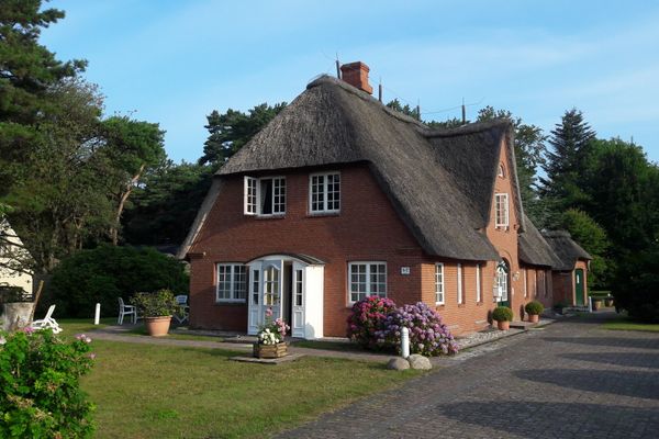  Hark-Olufs Hüs Whg Lachmöwe Nebel - Hauptansicht
