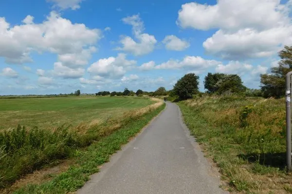 Einfamilienhaus Ostseenest Fuhlendorf - Landschaft  Ostseenest