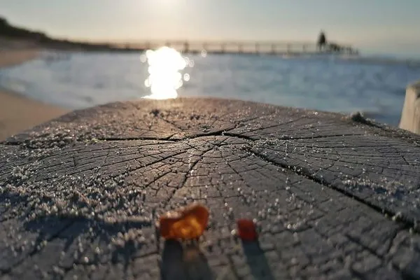 Ferienwohnung Deichkieker Aparthotel Zingst - Abendstimmung nahe der Seebrücke  Deichkieker