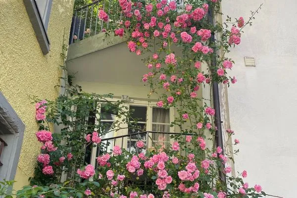 Multi-FeWo Haus Paradiesplatz Ferienwohnung Adam Lindau Insel - Balkon