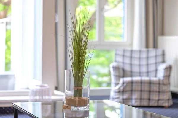 Ferienwohnung Strandhafer Aparthotel Zingst -  Wohnraumdetail  Strandhafer