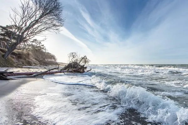Ferienwohnung Herzmuschel Aparthotel Zingst - naturbelassener Strand in Zingst  Herzmuschel