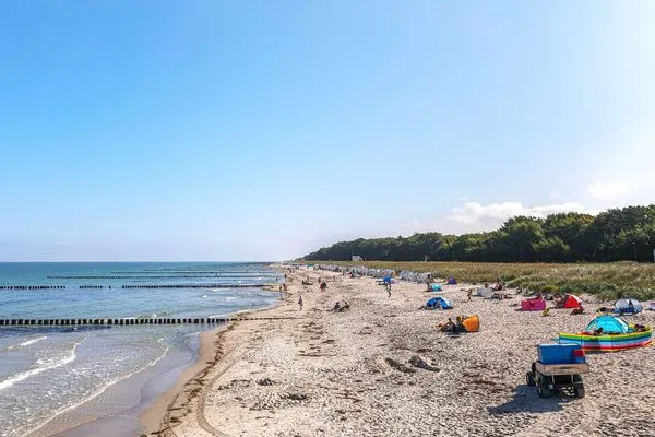 Ferienwohnung Herzmuschel Aparthotel Zingst - Strand in Zingst im Sommer  Herzmuschel