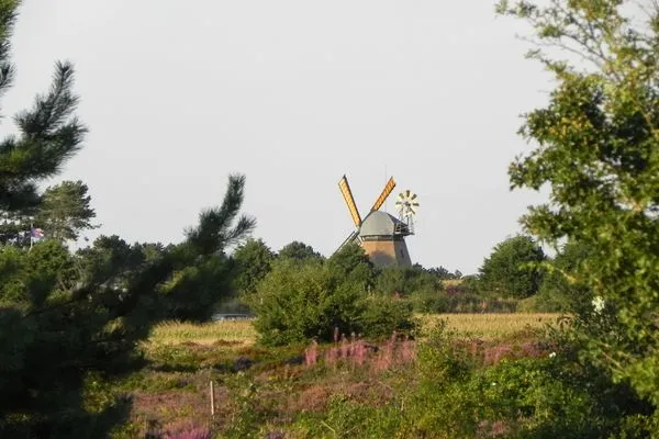   Ferienwohnung Tidenblick