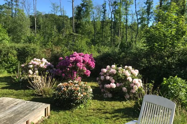   Ferienwohnung Country Garden - Ein gemütliches Refugium für die Familie im Naturpark Schlei