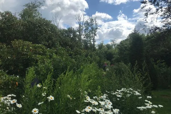   Ferienwohnung Country Garden - Ein gemütliches Refugium für die Familie im Naturpark Schlei