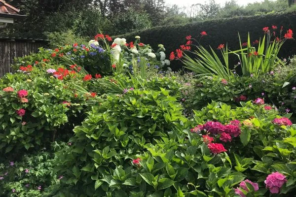   Ferienwohnung Country Garden - Ein gemütliches Refugium für die Familie im Naturpark Schlei