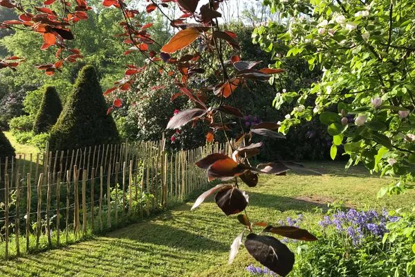   Ferienwohnung Country Garden - Ein gemütliches Refugium für die Familie im Naturpark Schlei