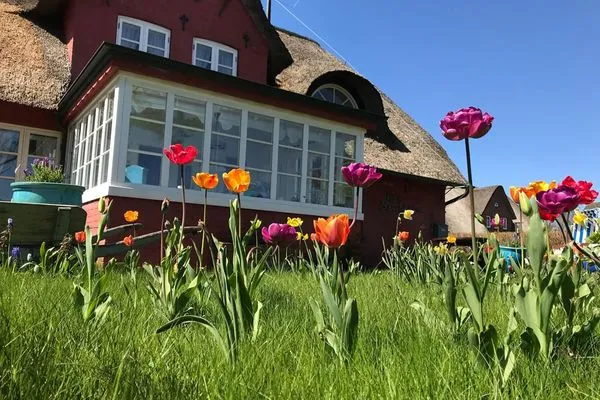 Hauptansicht Hüs Sanskiin Ferienwohnung *Driiwholt*