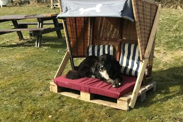 Dekoratives Detail Hüs Sanskiin Ferienwohnung *Driiwholt*