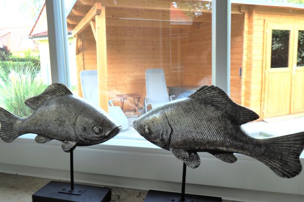 Dünengarten Am Bahndamm 75e Haus Meeresrauschen Zingst - Dekoratives Detail