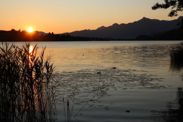  Ferienwohnung Brigitte Ferienwohnungen in Weissensee - Weißensee © FTM_Gerhard Eisenschink