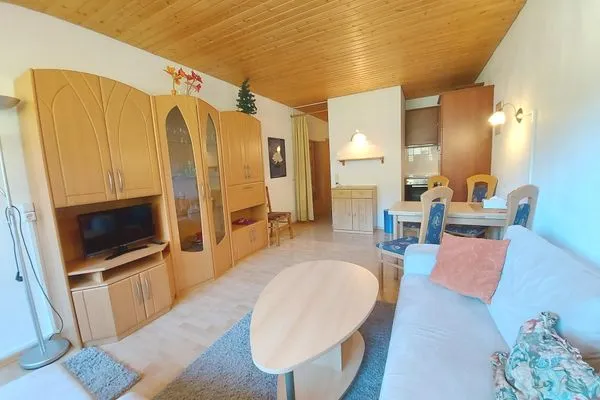 Living room  Apartment Sandra by FiS - Fun in Styria