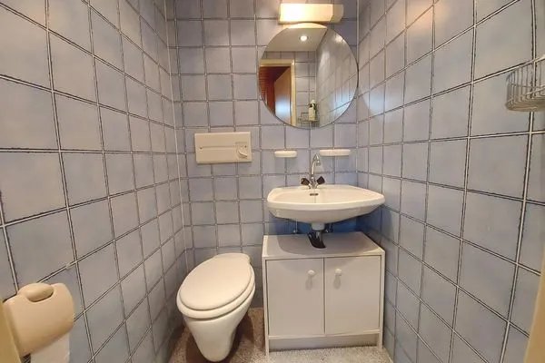 Guest WC  Apartment Sandra by FiS - Fun in Styria