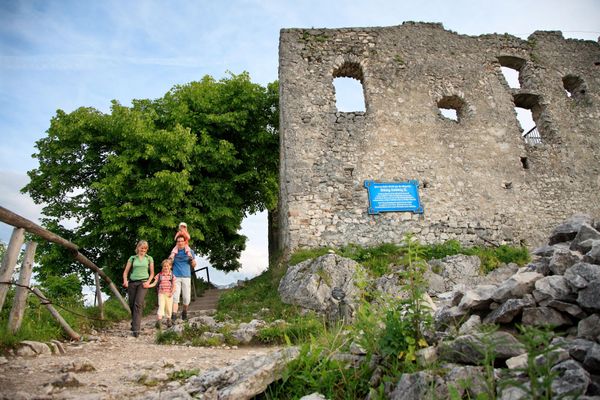 Allgäuer Appartementhaus Alpensternchen / Whg. 1  - Burgruine Falkenstein