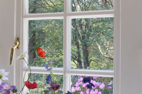  Hark-Olufs Hüs Whg Lachmöwe Nebel - Dekoratives Detail