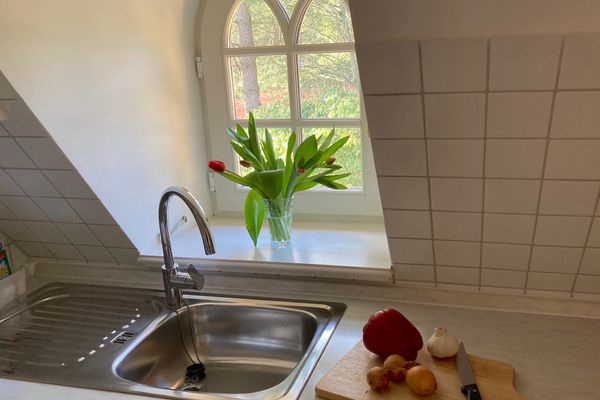  Hark-Olufs Hüs Whg Lachmöwe Nebel - Küche / Küchenzeile