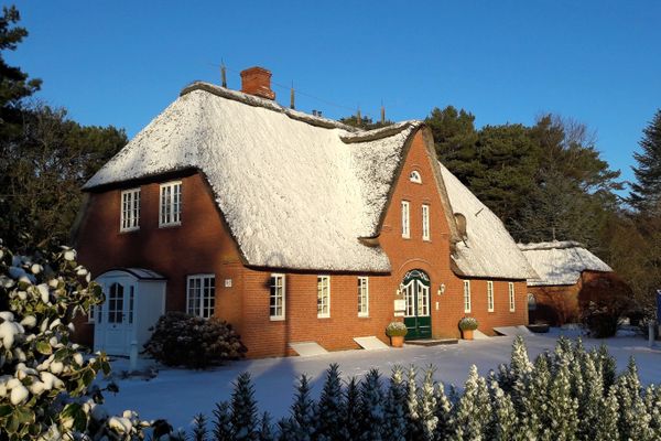  Hark-Olufs Hüs Whg. Heringsmöwe Nebel - Hauptansicht