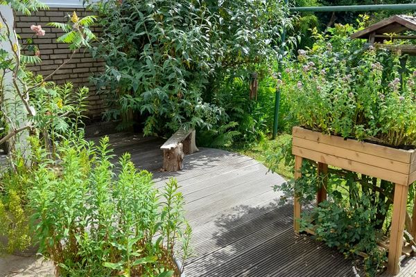  Muschelkästchen EG Tönning - Natur