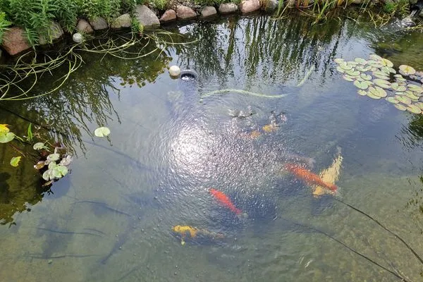 Garten  Ferienhaus Beier, Wohnung 1
