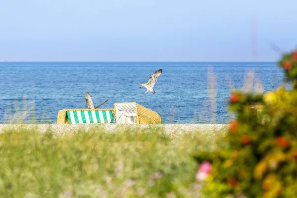 Ferienwohnung Boddenzauber Ostseebad Wustrow ZweiWasser Alte Seefahrtschule Idyllische Spaziergänge am Meer  Boddenzauber