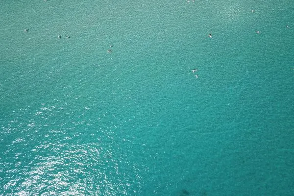 See  Olympus Paradise 1