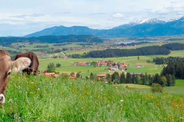  Ferienwohnung Edelsbergblick Ferienwohnungen in Hopferau - Ortsansicht