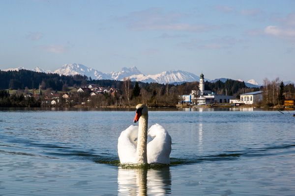  Ferienhaus Sarah Ferienwohnungen in Lechbruck - Lechsee