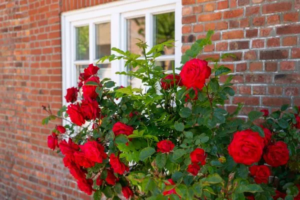  Töwerland Ferienwohnung Töwerland 1