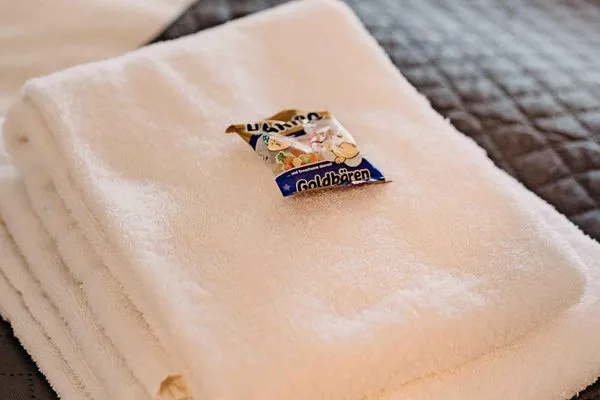  Haus Vier Jahreszeiten am See Harzflair