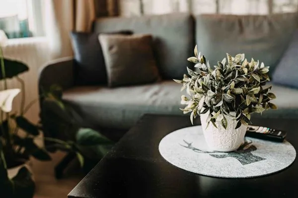  Haus Vier Jahreszeiten am See HS 473