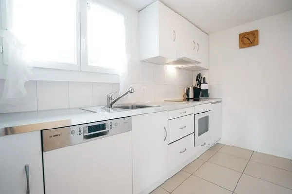 There is a dishwasher in the kitchen  Chalet Biodola