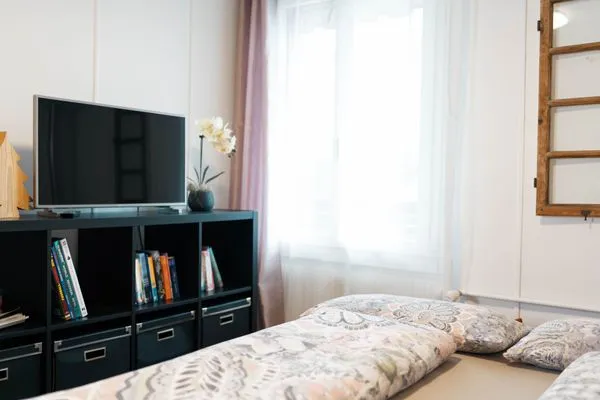 TV im Wohnzimmer  Apartment Heimathus