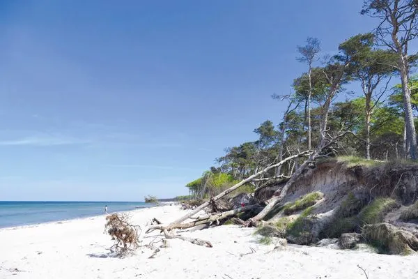 Ferienwohnung Kleine Strandoase Ostseebad Wustrow ZweiWasser Alte Seefahrtschule Sonne am Strand  Kleine Strandoase