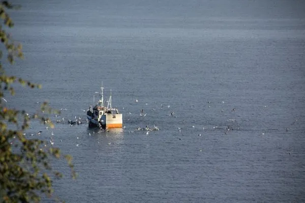 Meerblick  Fjordhytte-1