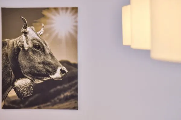 Decorative detail  AlpenZauber