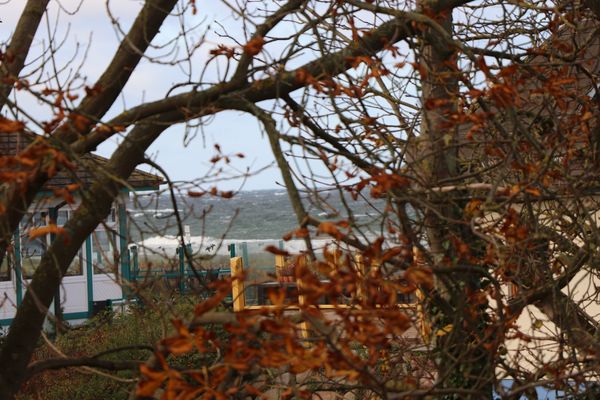 BIRKENHOF Haus 10, App. 20 "Strandglück" Ostseebad Wustrow - Meerblick