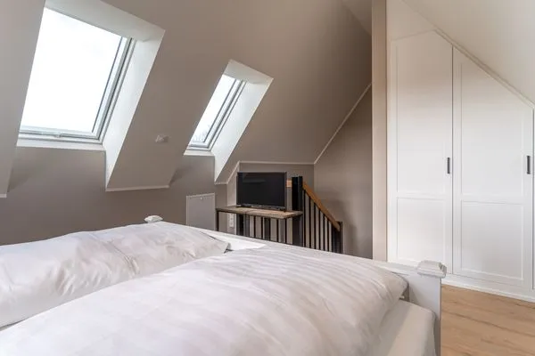 Hummergrund Echinus SPO Boehl - 