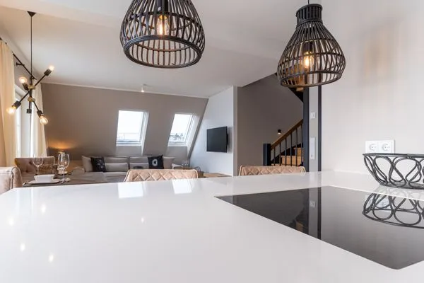 Hummergrund Echinus SPO Boehl - 