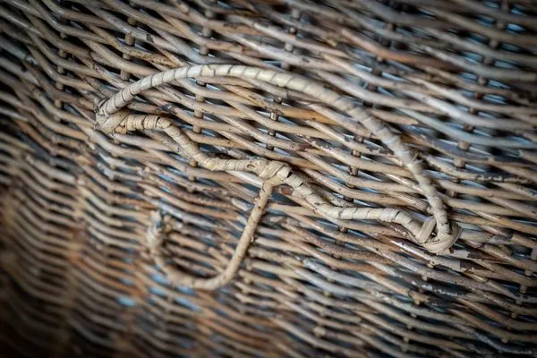 Hummergrund Echinus SPO Boehl - 