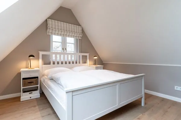 Hummergrund Octopus SPO Boehl - 