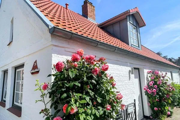   Ferienwohnung Dat seute Huus (EG klein)