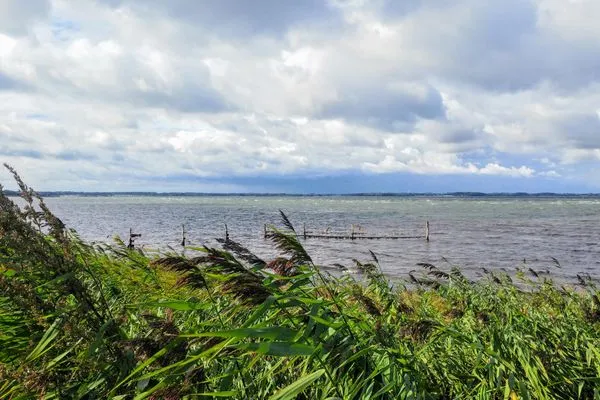   Ferienwohnung Dat seute Huus (EG klein)