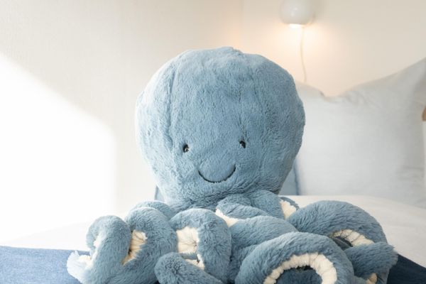  urlaubinsicht Tönning - Dekoratives Detail