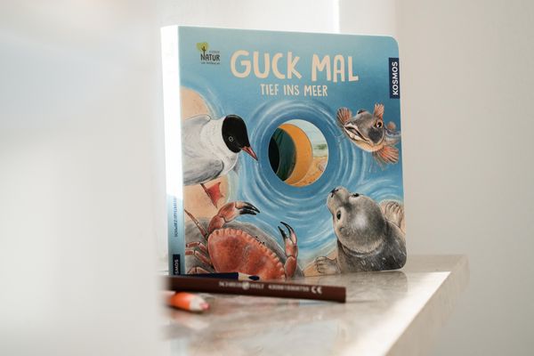  urlaubinsicht Tönning - Spielsachen