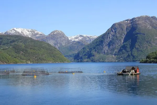 Fjordpanorama mit Blick über eine Lachsfarm und auf die Bergwelt  Fjordhytte-2