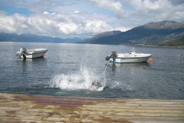 Sprung ins Kühle Nass - Baden  Fjordhytte-2